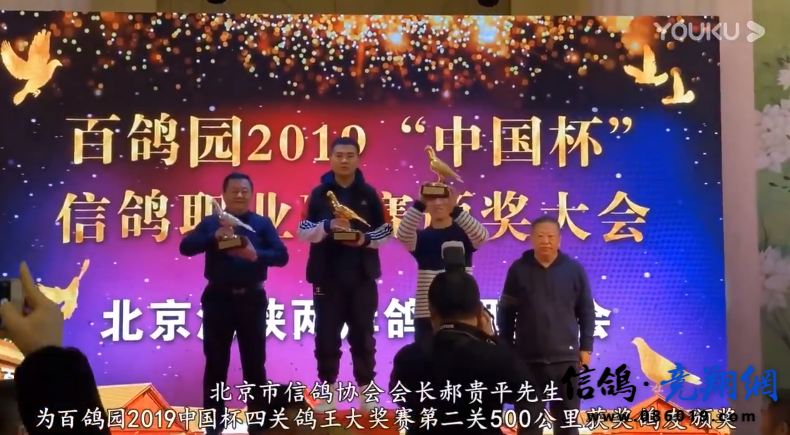  北京百鸽园2019年“中国杯”颁奖暨拍卖大会视频回放